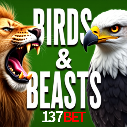 Estratégias Crash Games 137bet